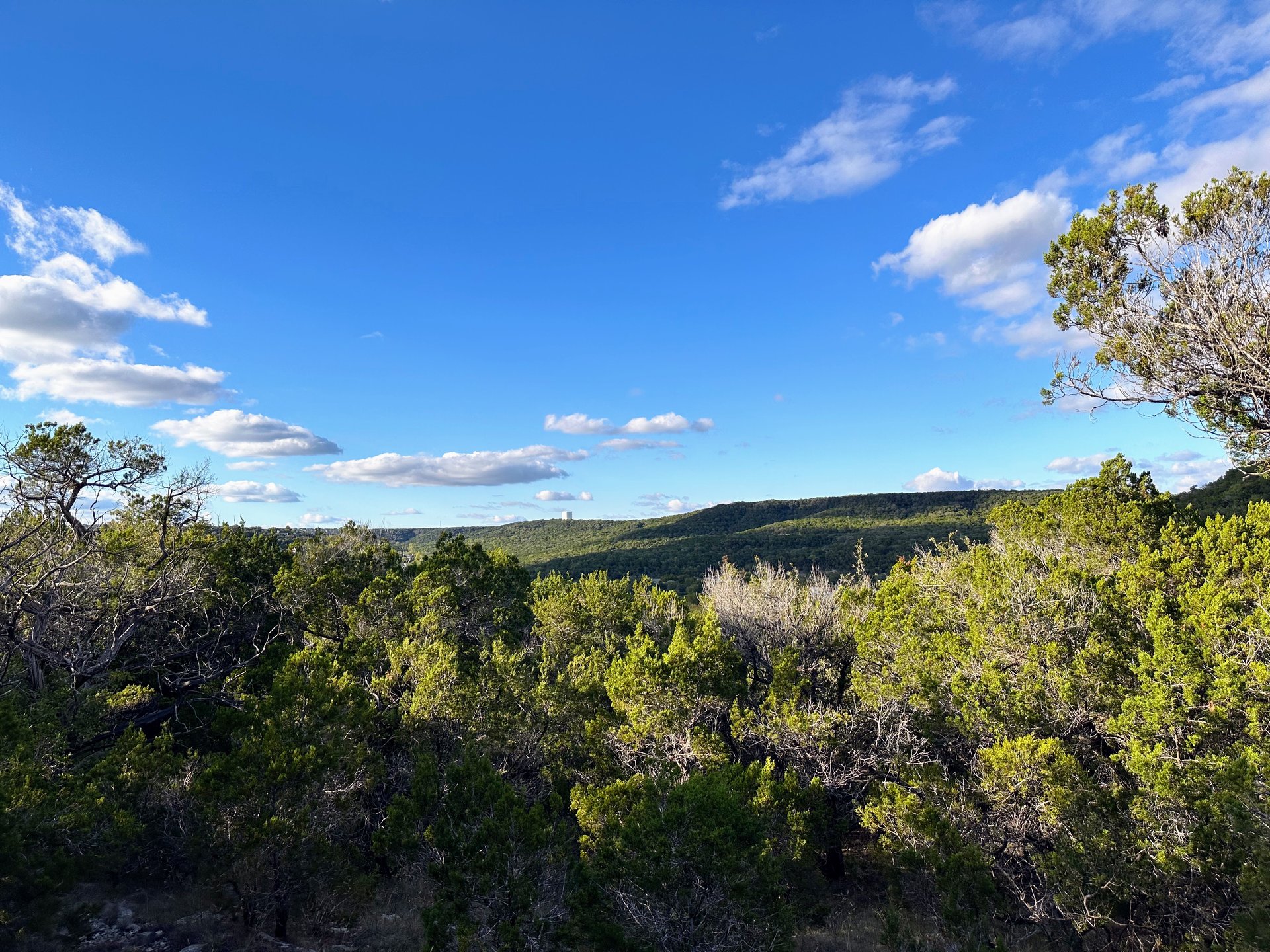 Bull Creek
   Preserve view from Sevan Drive Northwest Hills Austin